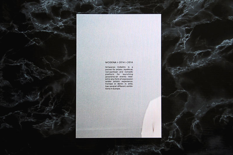EINMAL Temporary Gallery / Schwanzo Kollektiv