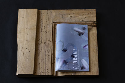 Issue 05 / Buco