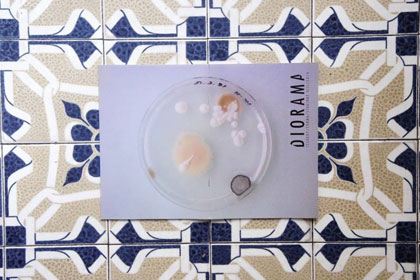 Issue 07 / Forma
