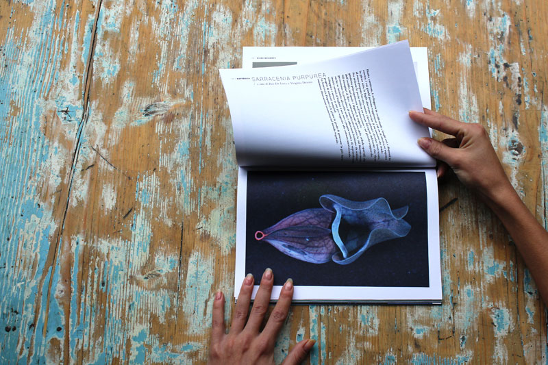 Issue 06