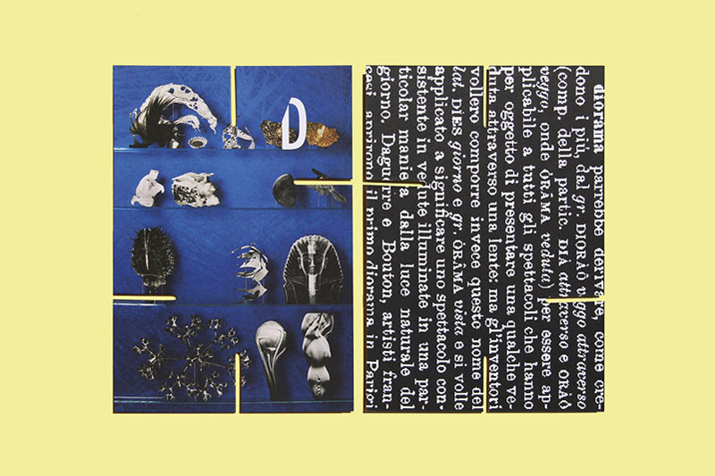 Issue 00