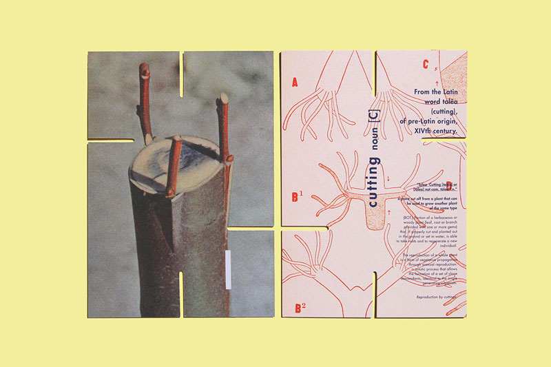 Issue 00